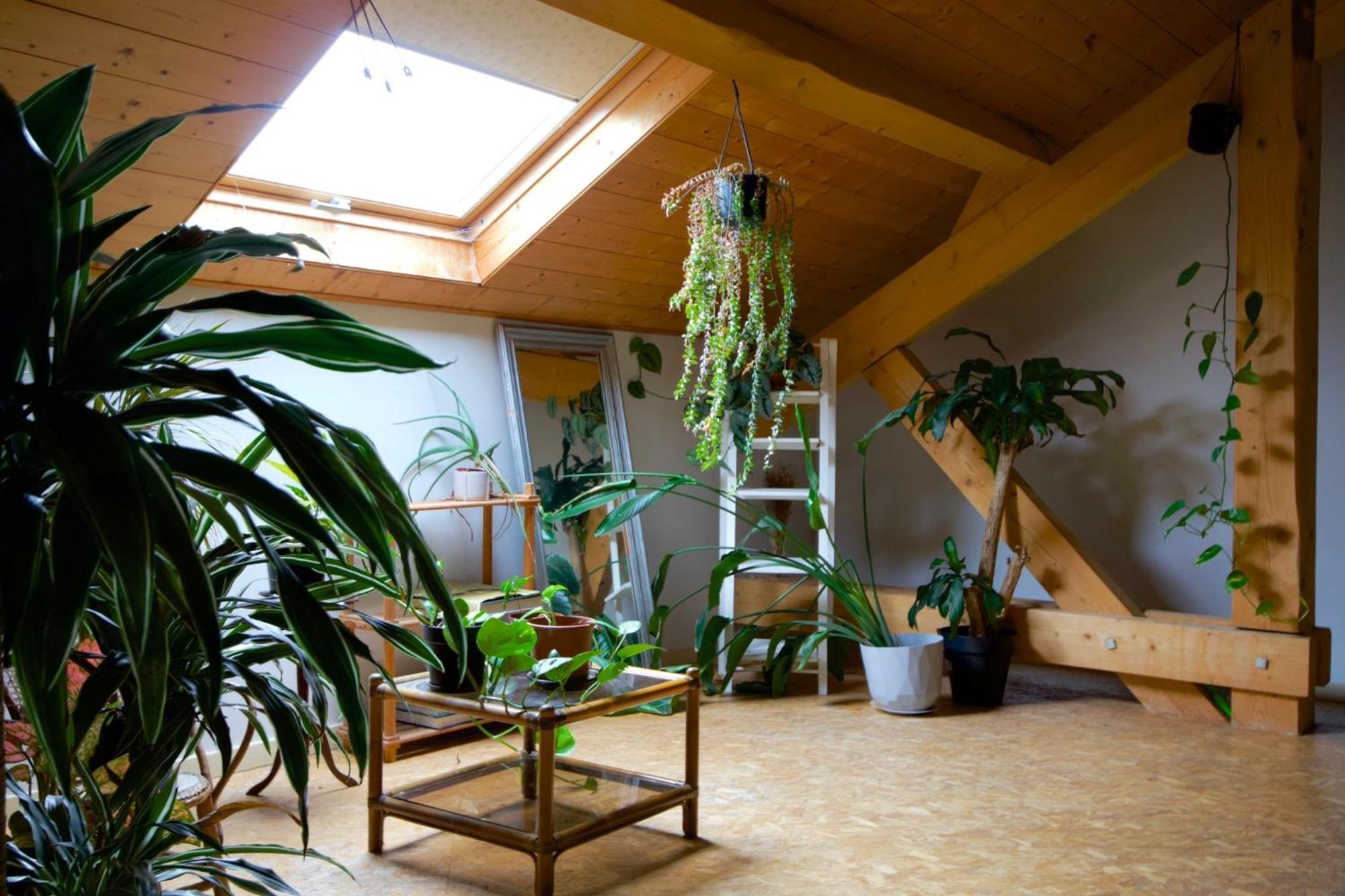 Loft Haut De Gamme Entre Verdure Et Ville Chaudefontaine  Eksteriør bilde